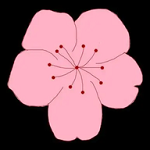 91看片APPAPP应用